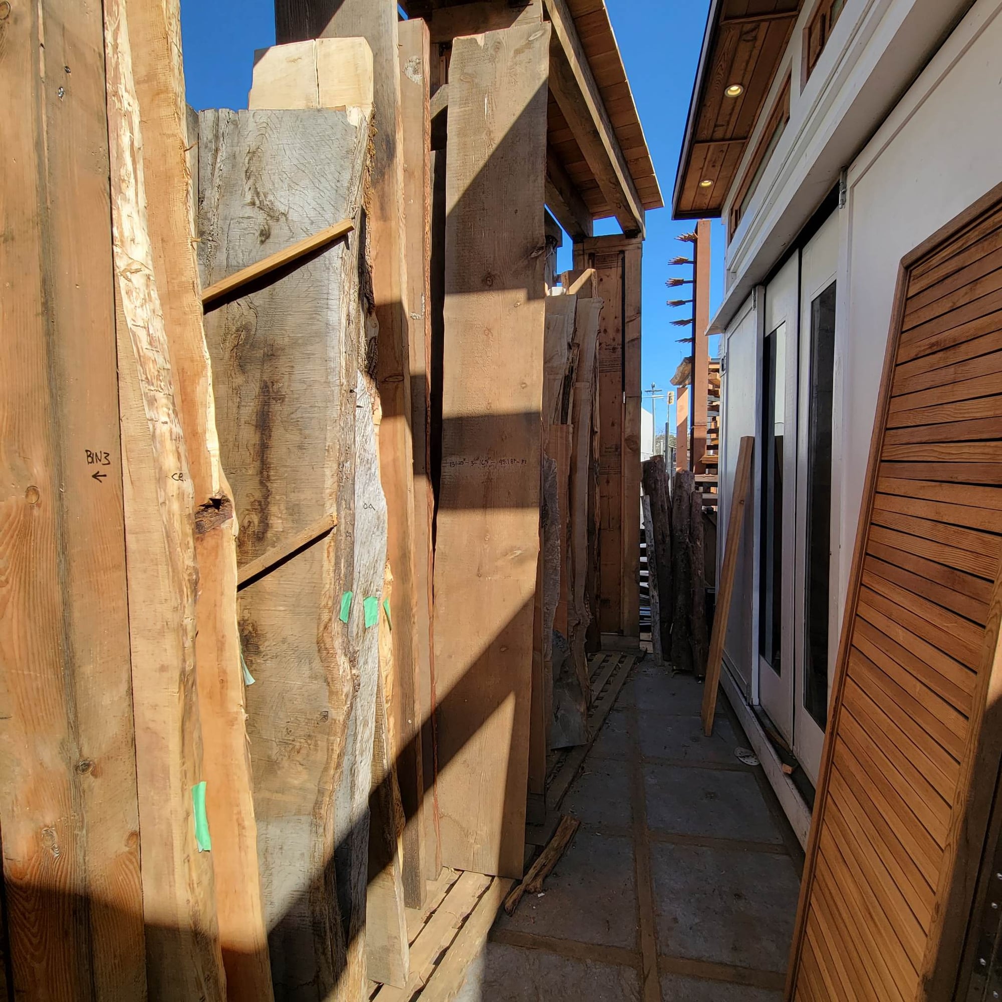 Douglas Fir